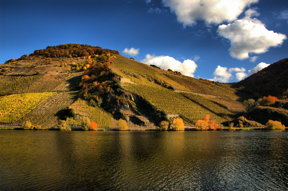 The Mosel river II