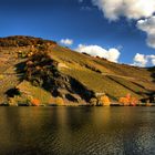 The Mosel river II