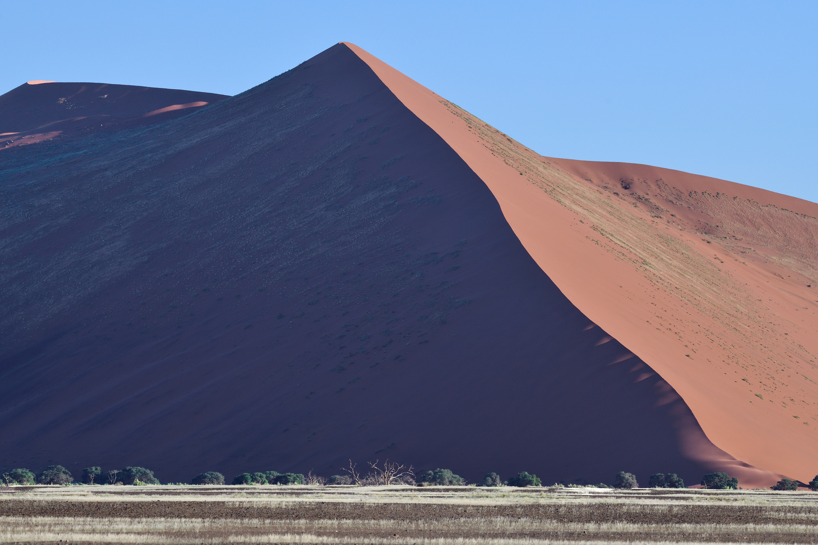 The mother of all dunes