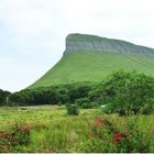 The Mounthains of Connemara