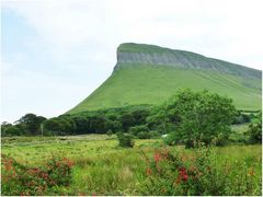 The Mounthains of Connemara