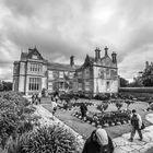 The Muckross House