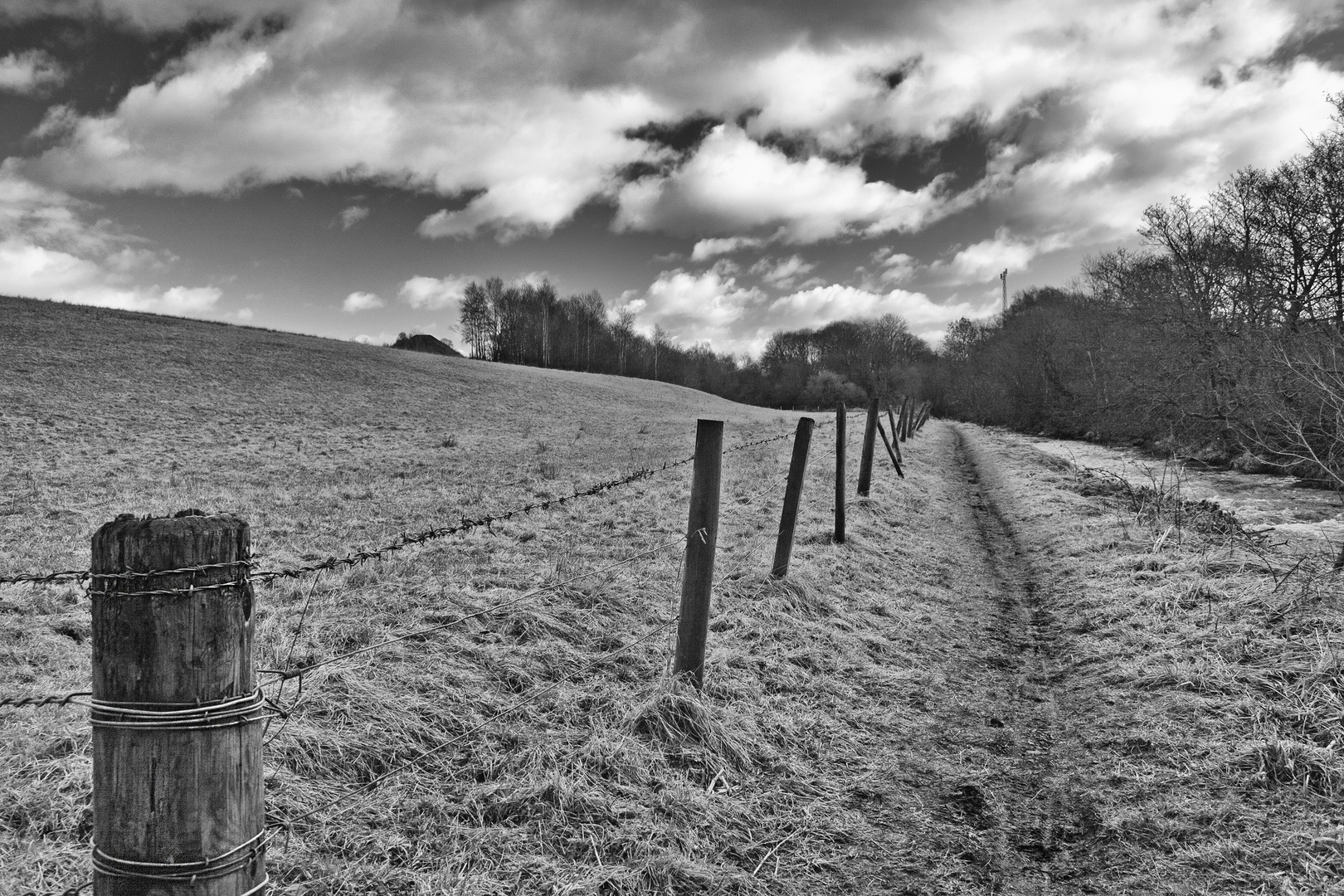 The Muddy Footpath