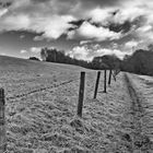 The Muddy Footpath