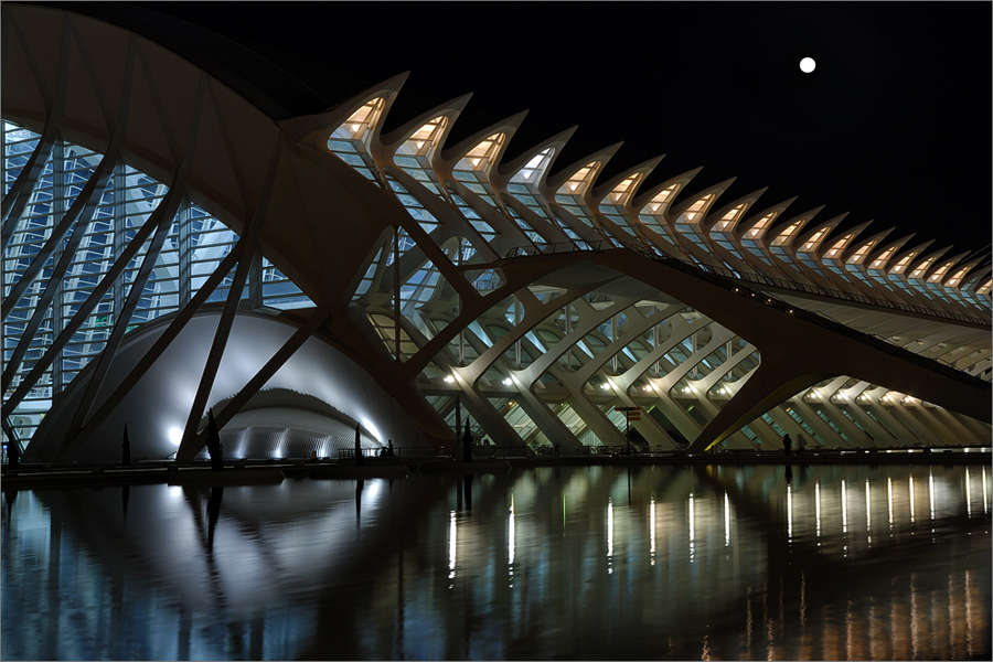 The Museum & The Moon