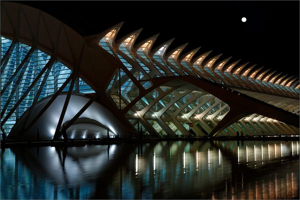 The Museum & The Moon