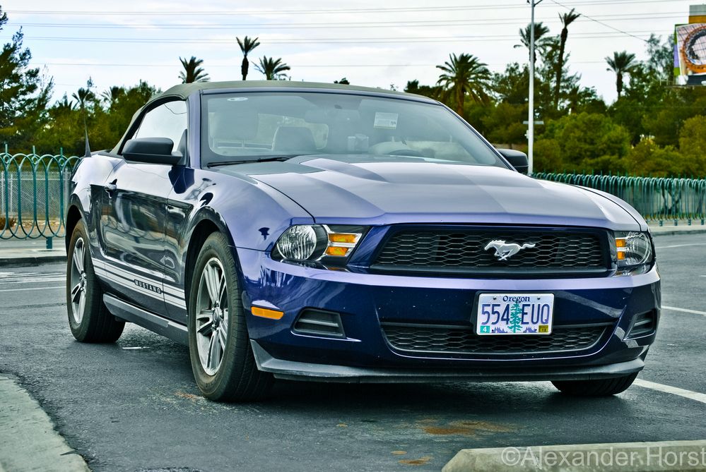 The Mustang