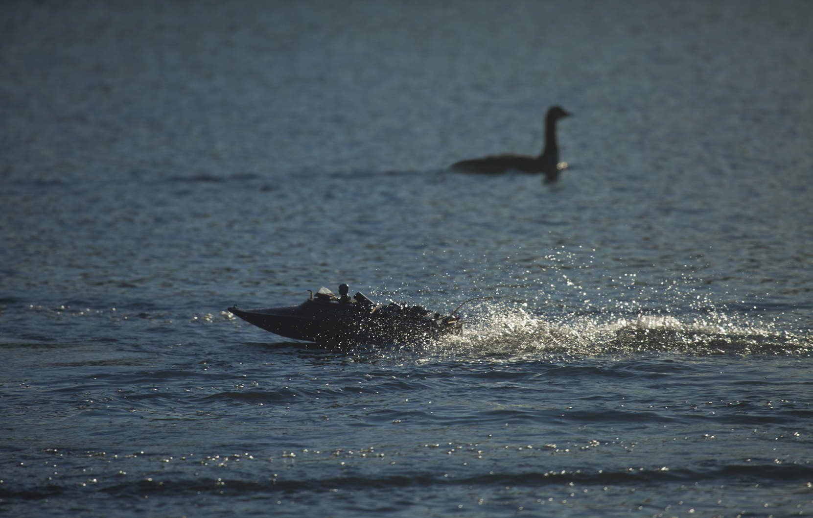 The Mystery of Nessie