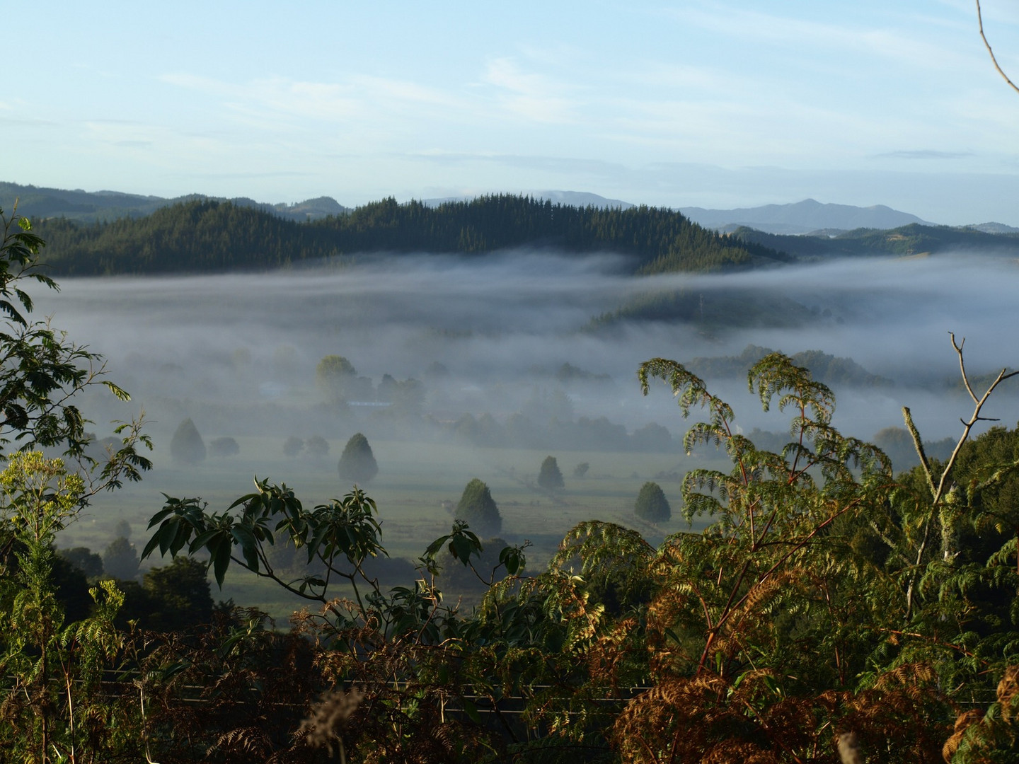 The mystic morning