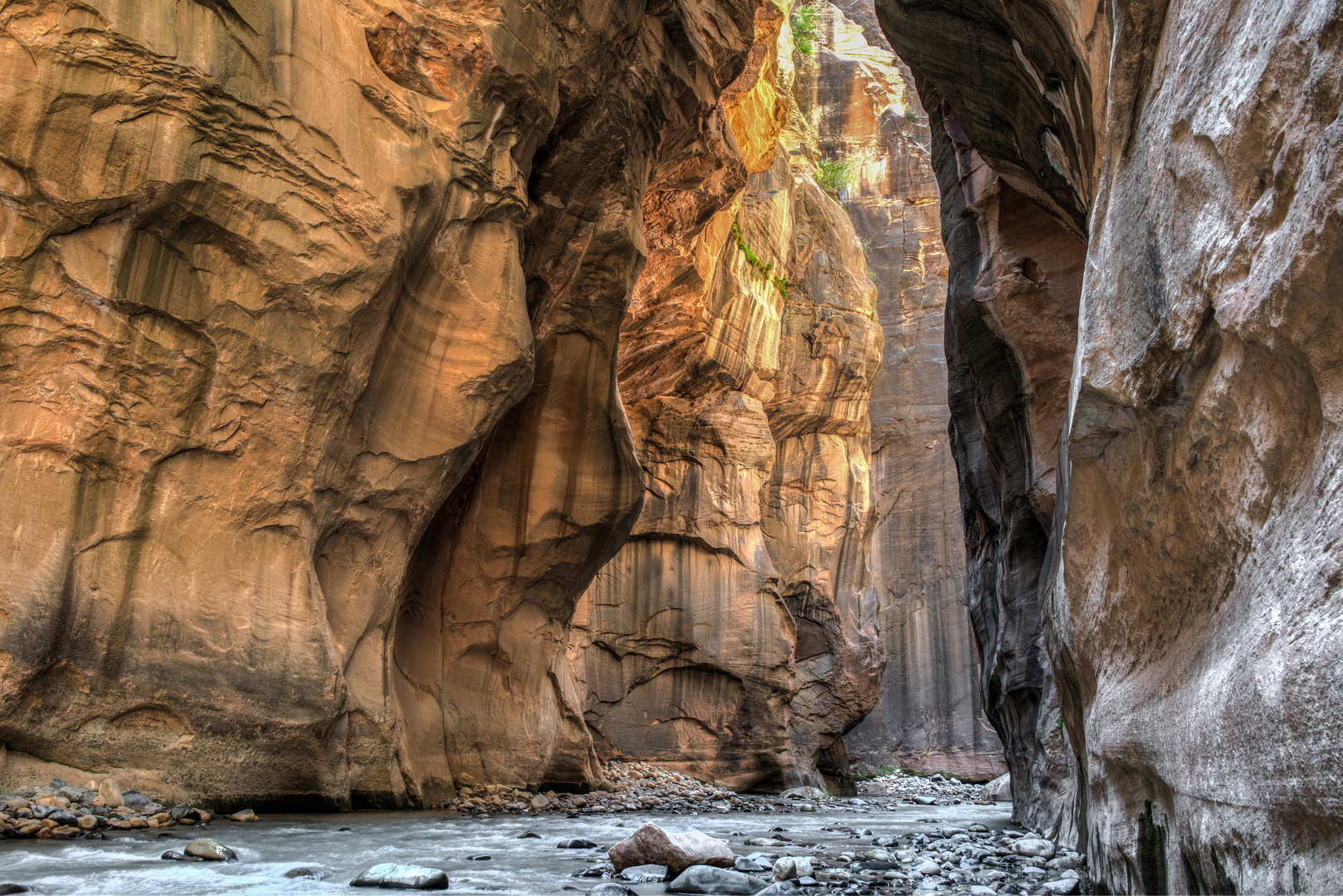 The Narrows (3), Zion National Park