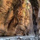 The Narrows (3), Zion National Park