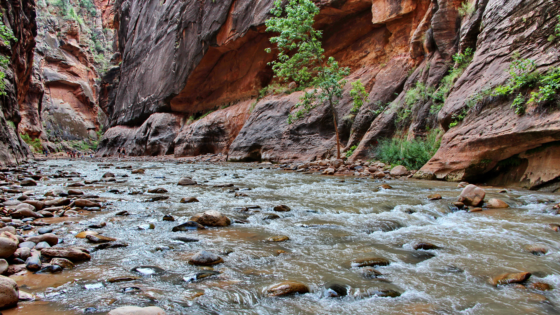 The Narrows