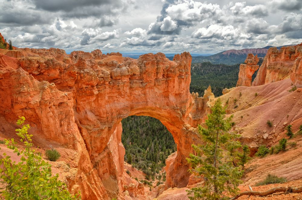 The Natural Bridge