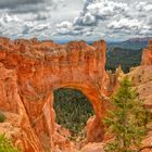 The Natural Bridge