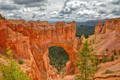 The Natural Bridge