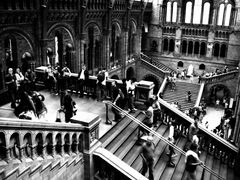 The Natural History Museum, London.