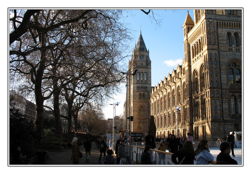 The Natural History Museum, South Kensigton