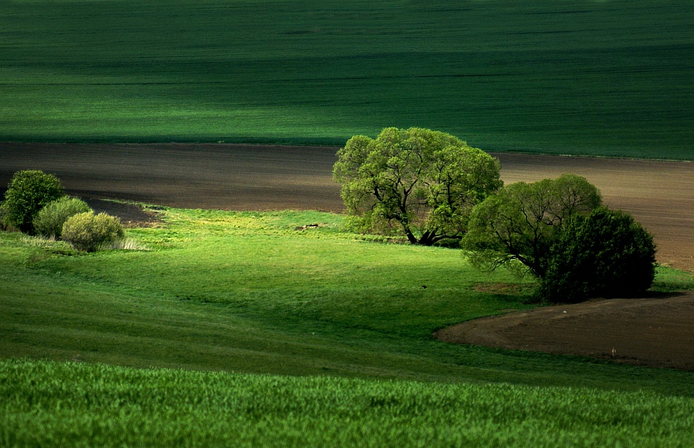 the nature of light II