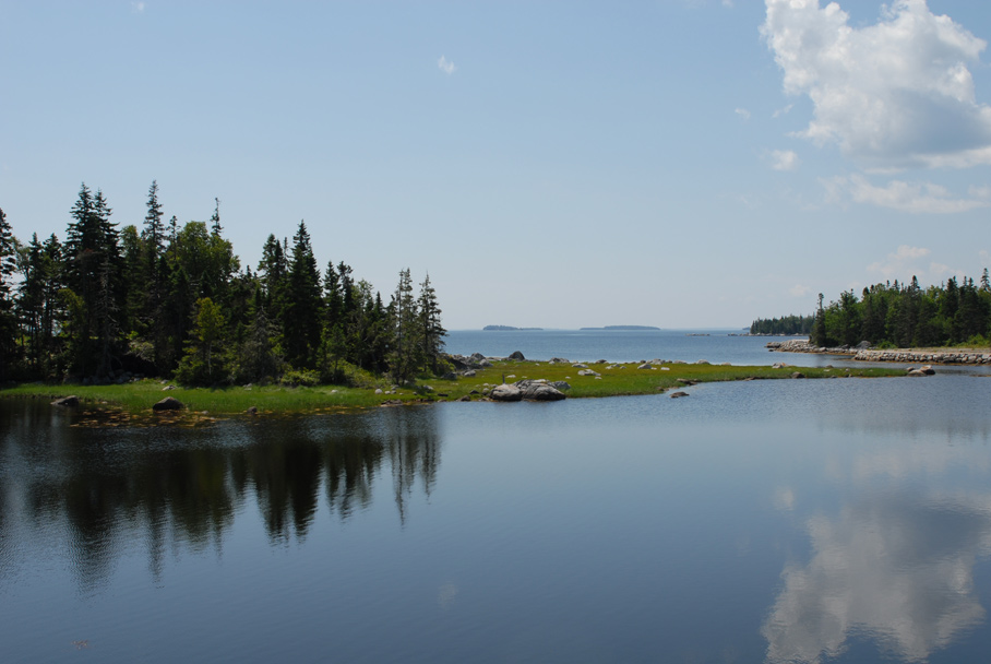 The nature of Nova Scotia -1-