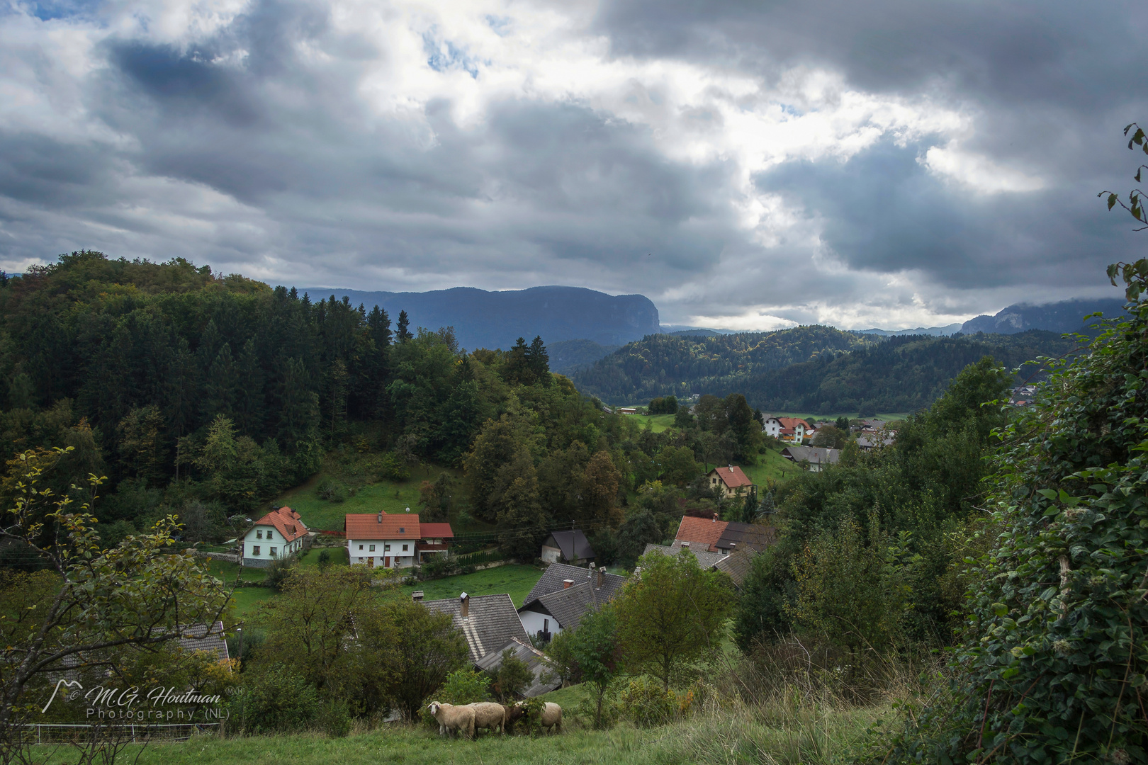 The nature of Slovenia