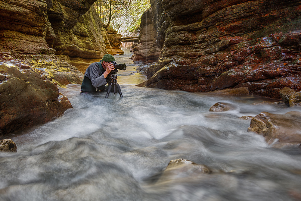 The Nature Photographer