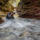 The Nature Photographer