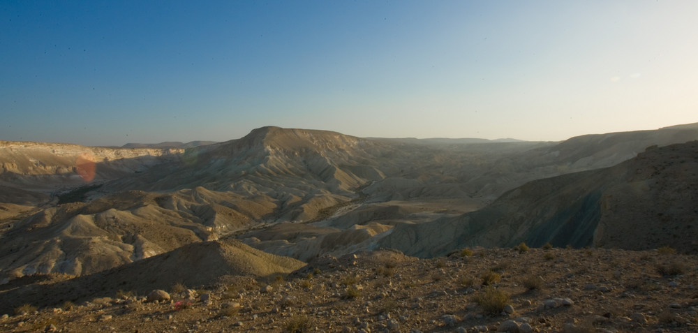 The negev