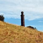 The Nelson Monument