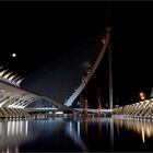 The New Bridge & The Moon