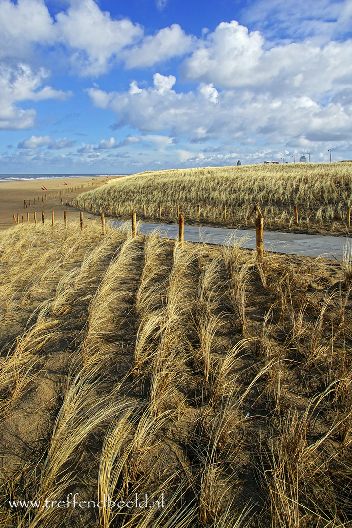 The new coastline at Katwijk at the sea in the netherlands