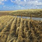 The new coastline at Katwijk at the sea in the netherlands