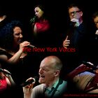 The New York Voices