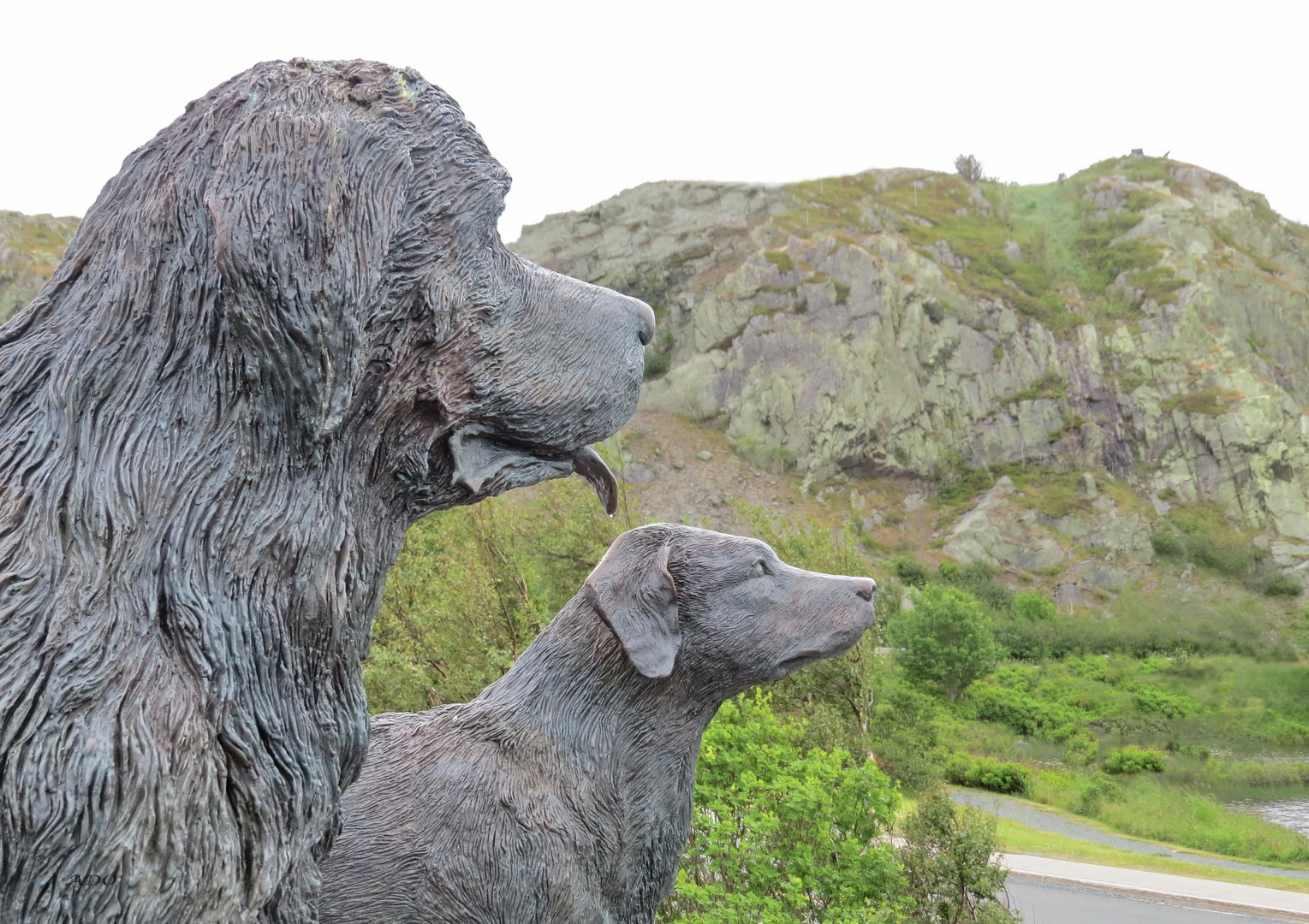 The Newfoundland and the Labrador