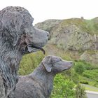 The Newfoundland and the Labrador