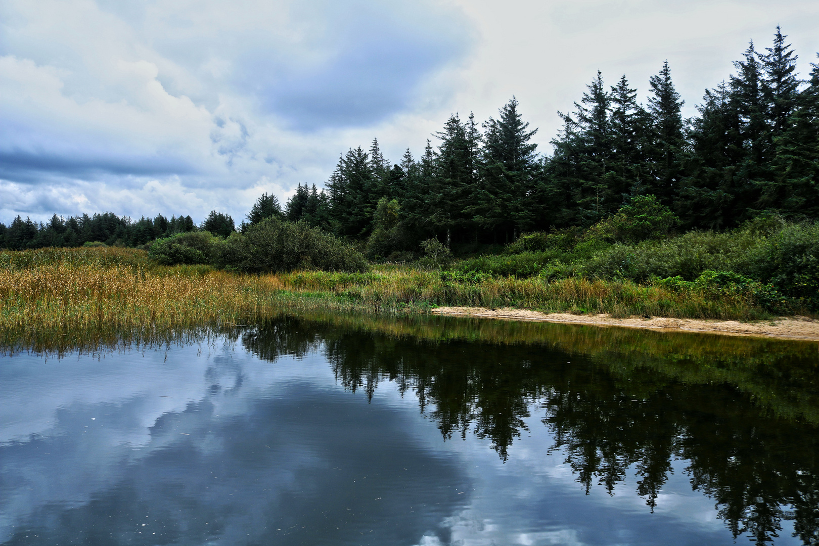 The Nissum Fjord Shoreline....