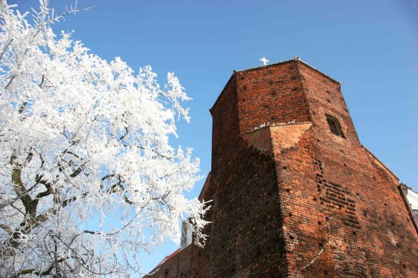 The Nobleman's Tower in Plock/ Poland /