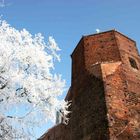 The Nobleman's Tower in Plock/ Poland /