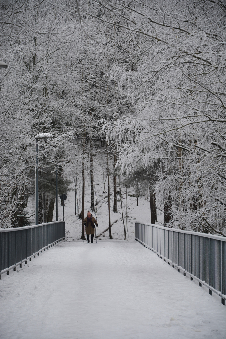 The Nordic walker on the bridge