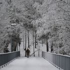 The Nordic walker on the bridge