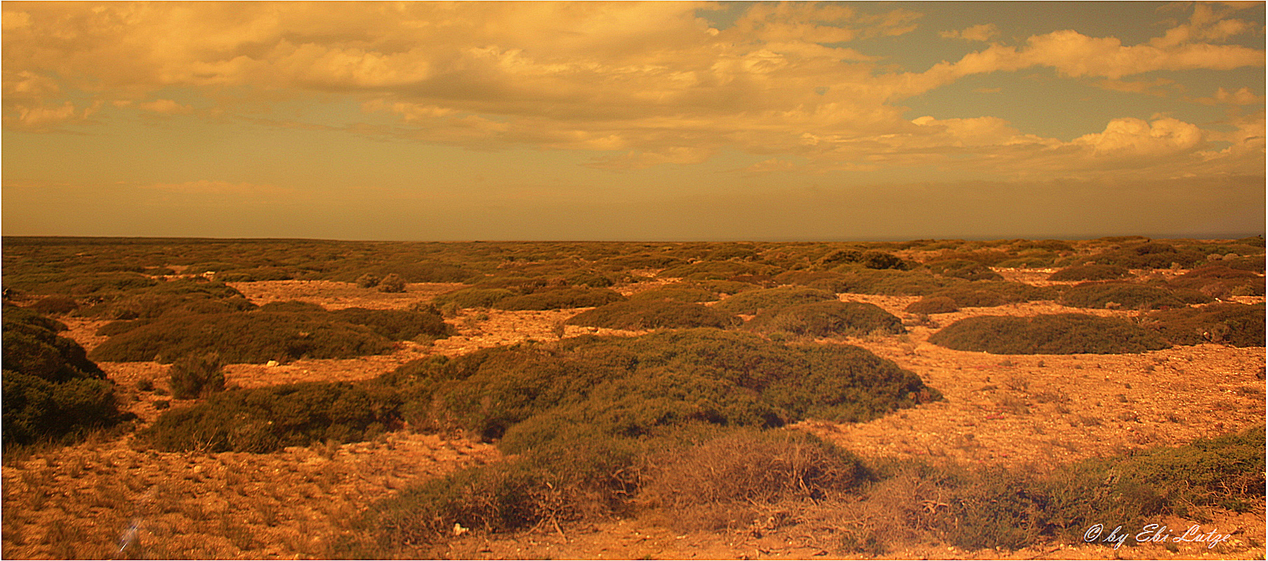 ** The Nullarbor / half a Hour before a heavy Downpour **