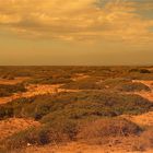 ** The Nullarbor / half a Hour before a heavy Downpour **