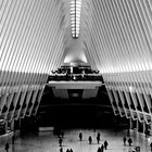 The Oculus 