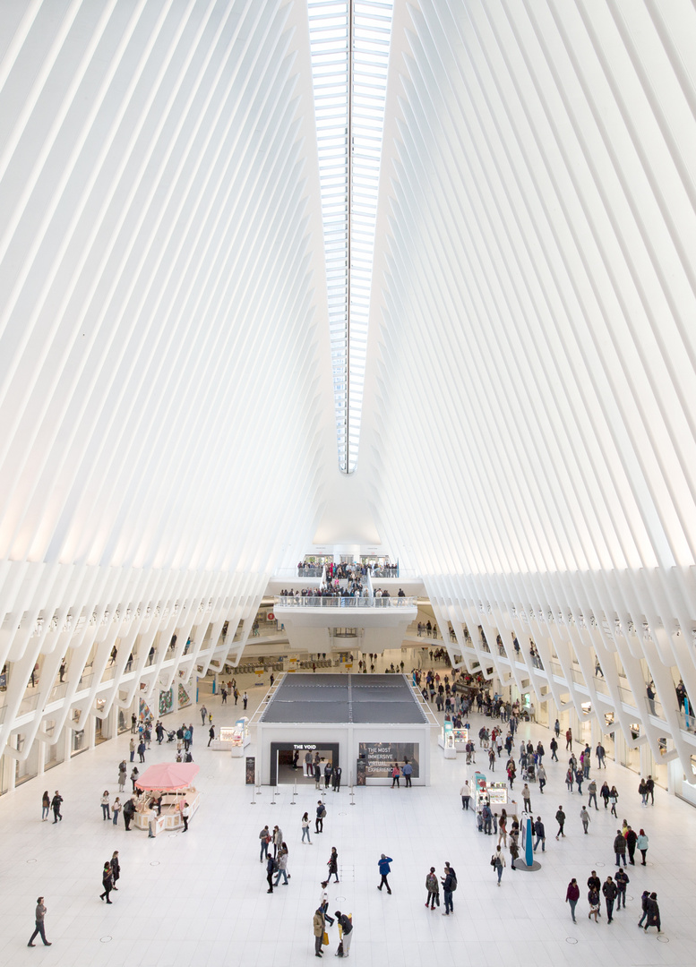 The Oculus