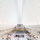 The Oculus