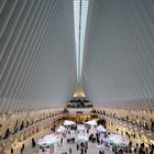 The Oculus