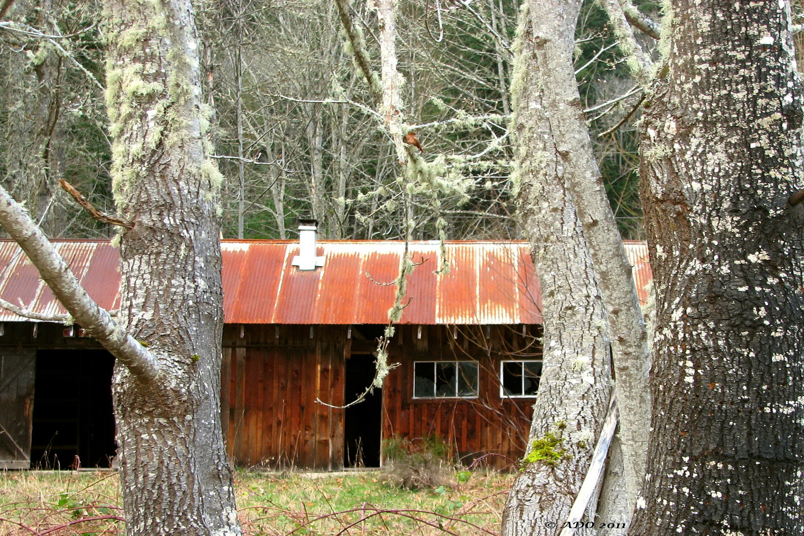 The Old Barn