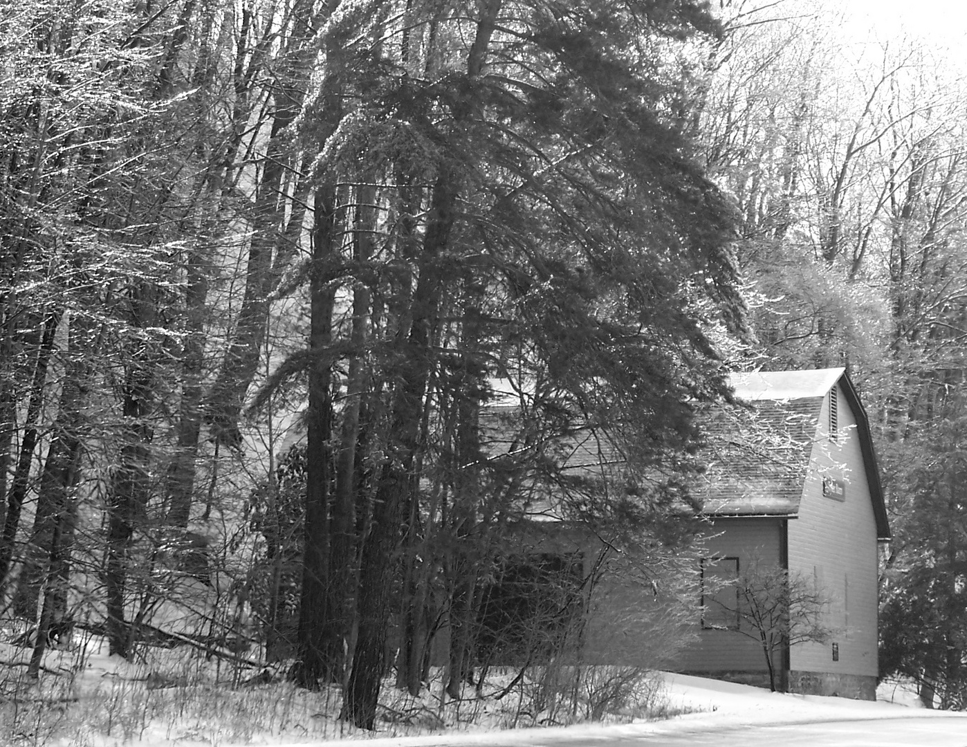 The Old Barn In Winter