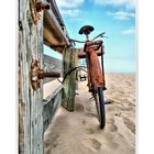 THE OLD BEACH BIKE