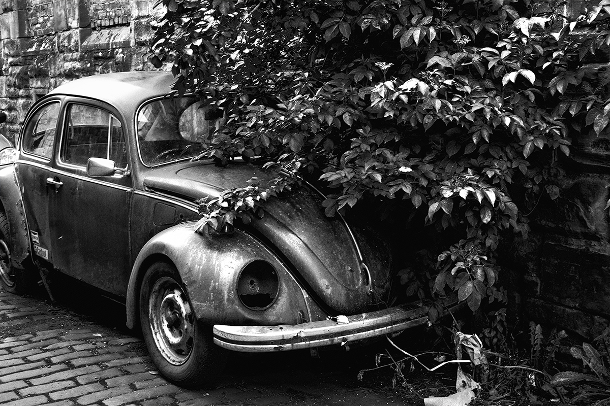 The Old Beetle