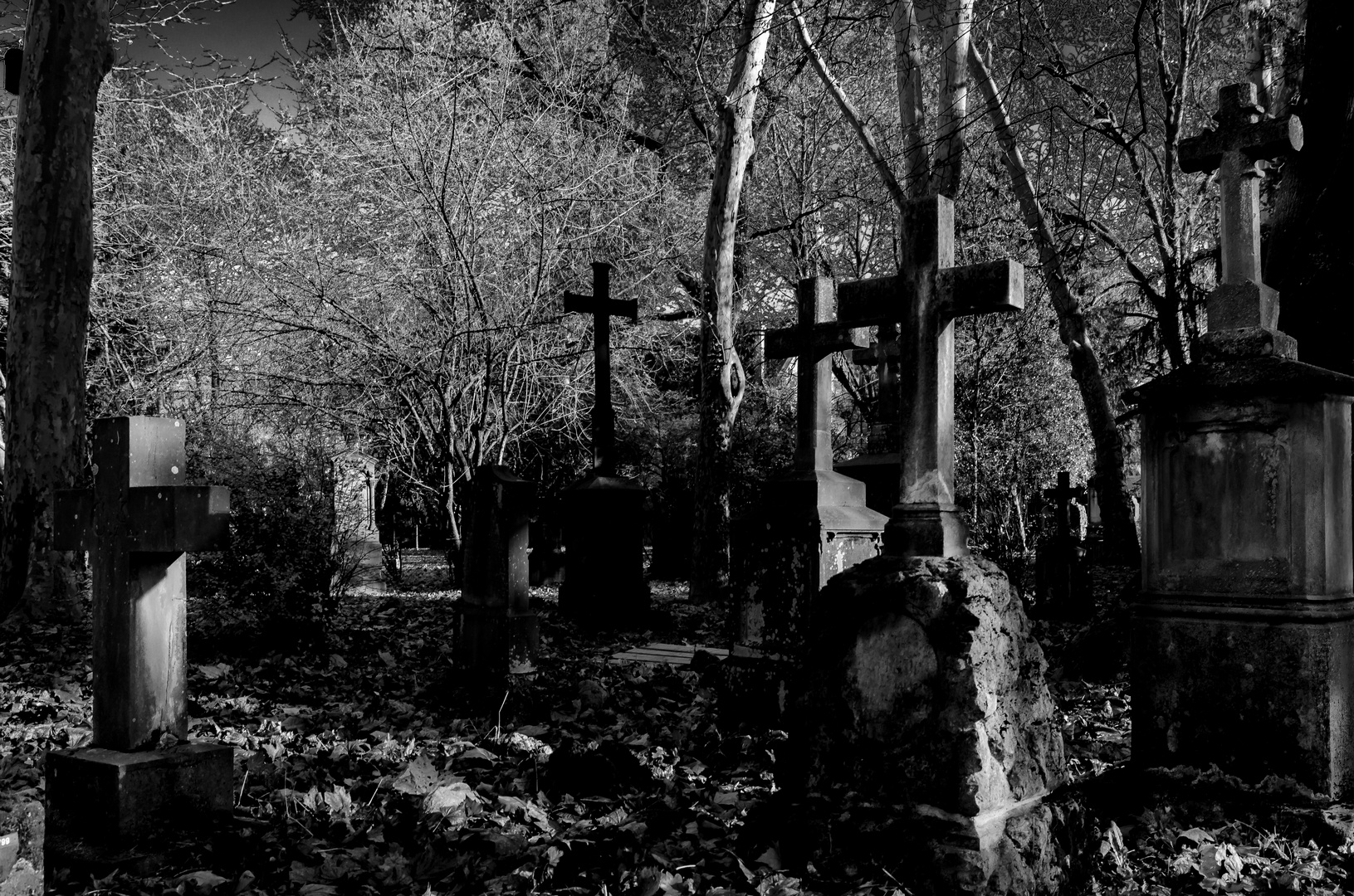 The Old Cemetery  by Freiburg 